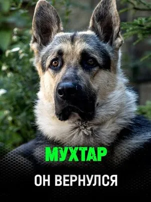 Мухтар. Он вернулся 1 сезон